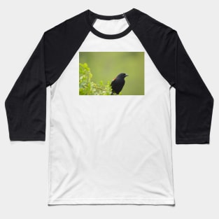 red wing black bird Baseball T-Shirt